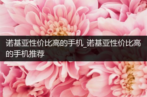 诺基亚性价比高的手机_诺基亚性价比高的手机推荐