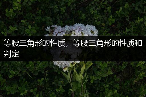 等腰三角形的性质，等腰三角形的性质和判定