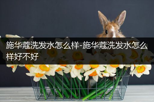 施华蔻洗发水怎么样-施华蔻洗发水怎么样好不好
