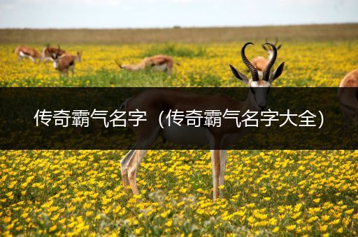 传奇霸气名字（传奇霸气名字大全）