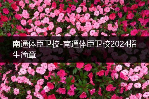 南通体臣卫校-南通体臣卫校2024招生简章