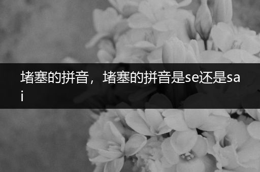堵塞的拼音，堵塞的拼音是se还是sai
