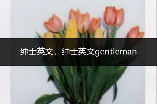 绅士英文，绅士英文gentleman