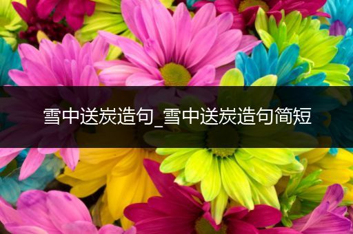 雪中送炭造句_雪中送炭造句简短