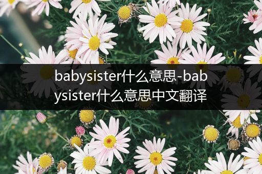 babysister什么意思-babysister什么意思中文翻译