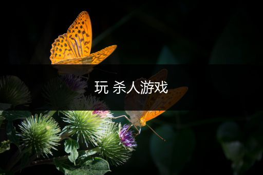 玩 杀人游戏