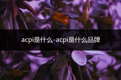 acpi是什么-acpi是什么品牌