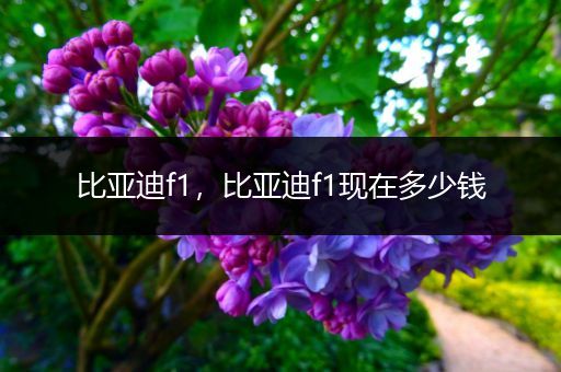 比亚迪f1，比亚迪f1现在多少钱