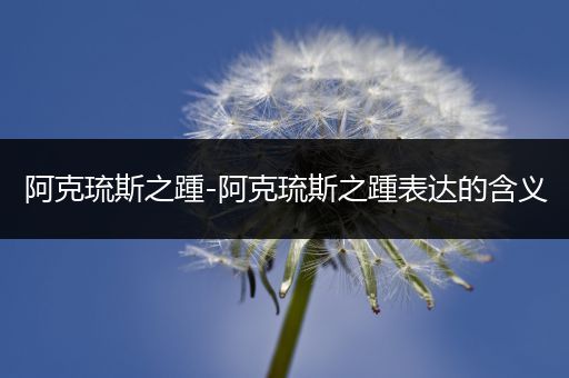 阿克琉斯之踵-阿克琉斯之踵表达的含义