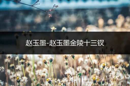 赵玉墨-赵玉墨金陵十三钗