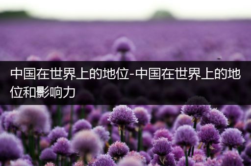 中国在世界上的地位-中国在世界上的地位和影响力