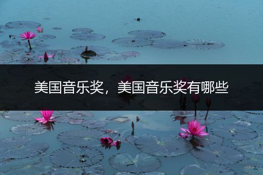 美国音乐奖，美国音乐奖有哪些