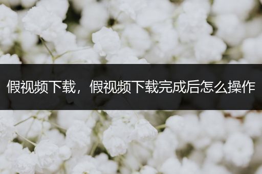 假视频下载，假视频下载完成后怎么操作