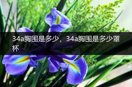 34a胸围是多少，34a胸围是多少罩杯
