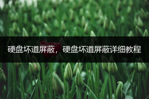 硬盘坏道屏蔽，硬盘坏道屏蔽详细教程