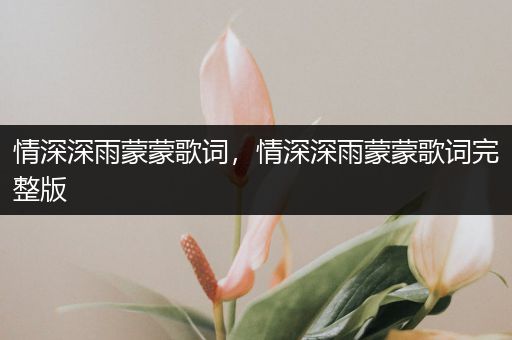 情深深雨蒙蒙歌词，情深深雨蒙蒙歌词完整版