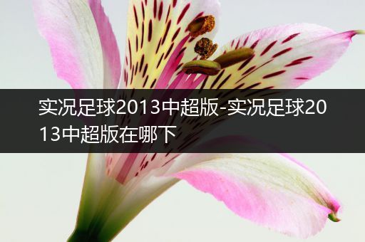 实况足球2013中超版-实况足球2013中超版在哪下