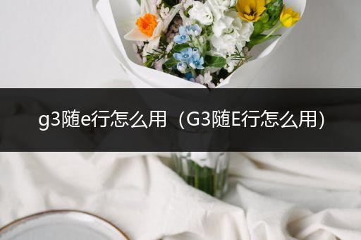g3随e行怎么用（G3随E行怎么用）