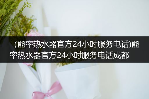 （能率热水器官方24小时服务电话)能率热水器官方24小时服务电话成都