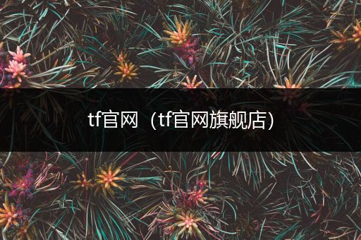 tf官网（tf官网旗舰店）