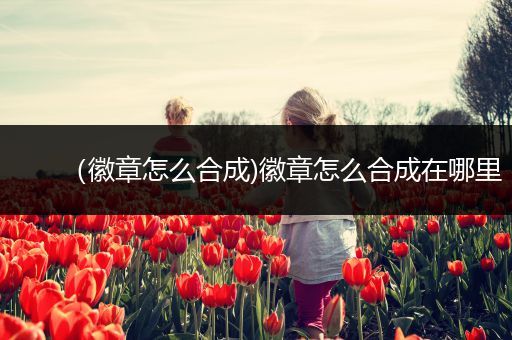 （徽章怎么合成)徽章怎么合成在哪里