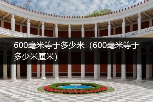 600毫米等于多少米（600毫米等于多少米厘米）