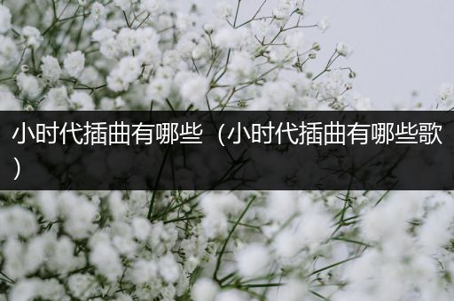 小时代插曲有哪些（小时代插曲有哪些歌）