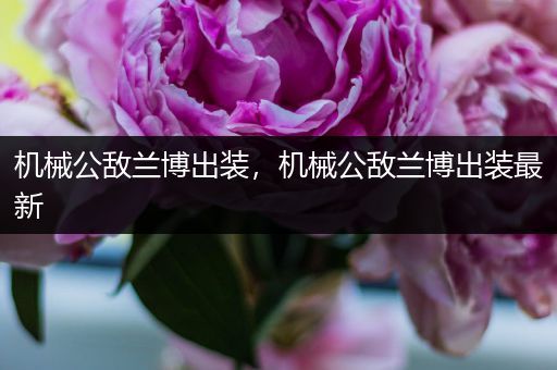 机械公敌兰博出装，机械公敌兰博出装最新