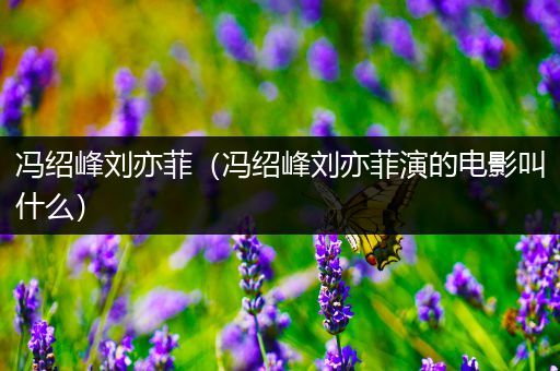 冯绍峰刘亦菲（冯绍峰刘亦菲演的电影叫什么）