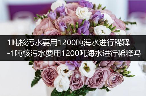 1吨核污水要用1200吨海水进行稀释-1吨核污水要用1200吨海水进行稀释吗