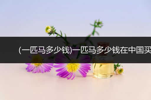 （一匹马多少钱)一匹马多少钱在中国买