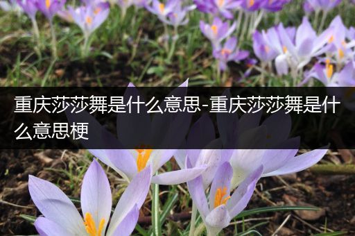 重庆莎莎舞是什么意思-重庆莎莎舞是什么意思梗