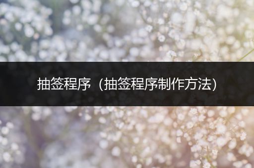 抽签程序（抽签程序制作方法）