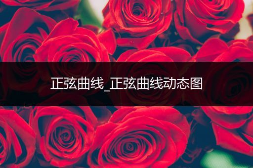 正弦曲线_正弦曲线动态图