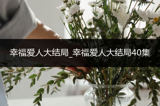 幸福爱人大结局_幸福爱人大结局40集