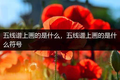 五线谱上画的是什么，五线谱上画的是什么符号
