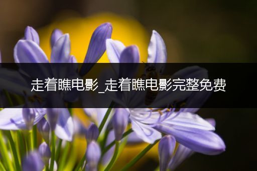 走着瞧电影_走着瞧电影完整免费