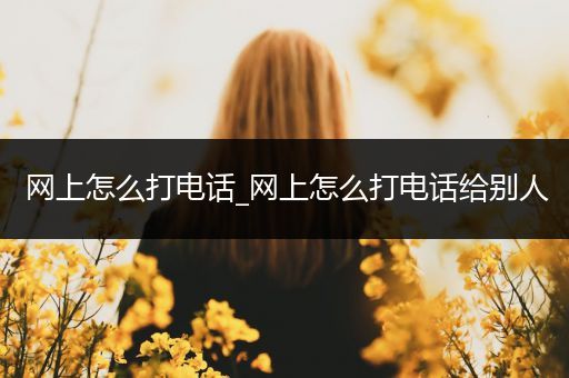 网上怎么打电话_网上怎么打电话给别人