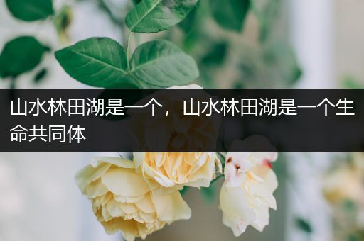 山水林田湖是一个，山水林田湖是一个生命共同体