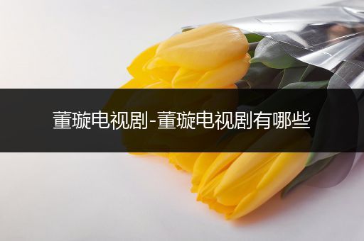 董璇电视剧-董璇电视剧有哪些