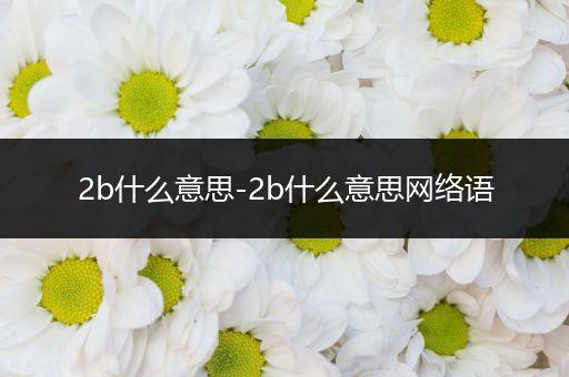 2b什么意思-2b什么意思网络语