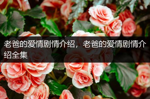 老爸的爱情剧情介绍，老爸的爱情剧情介绍全集