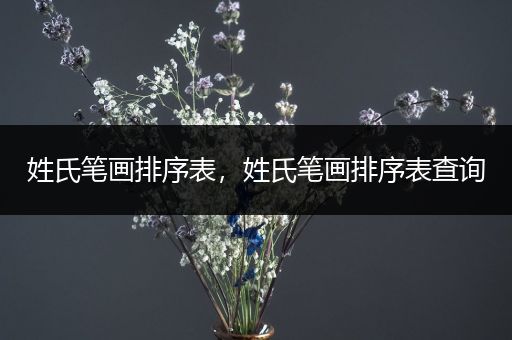 姓氏笔画排序表，姓氏笔画排序表查询