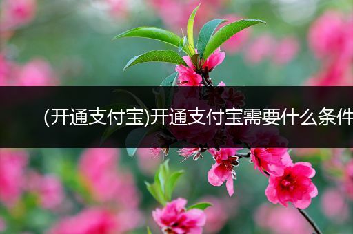 （开通支付宝)开通支付宝需要什么条件