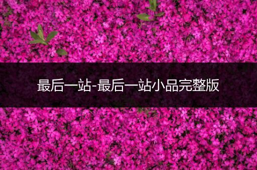 最后一站-最后一站小品完整版