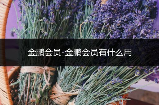 金鹏会员-金鹏会员有什么用