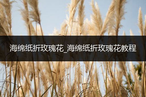 海绵纸折玫瑰花_海绵纸折玫瑰花教程