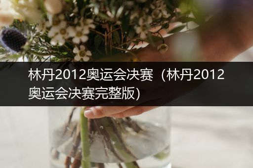 林丹2012奥运会决赛（林丹2012奥运会决赛完整版）