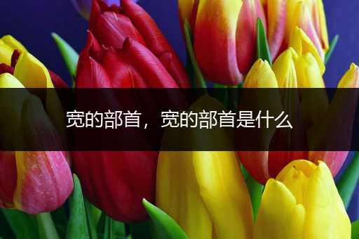 宽的部首，宽的部首是什么