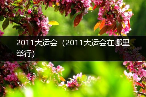 2011大运会（2011大运会在哪里举行）